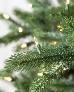 Balsam Hill Biltmore® Spruce Trees Outlet