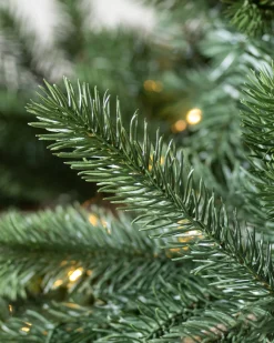 Balsam Hill Biltmore® Spruce Trees Outlet