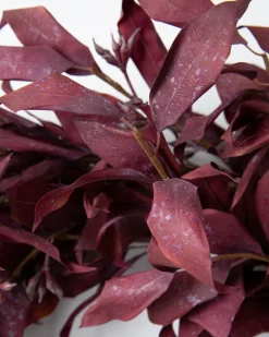 Balsam Hill Burgundy Leaves Foliage Discount