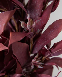 Balsam Hill Burgundy Leaves Foliage Discount