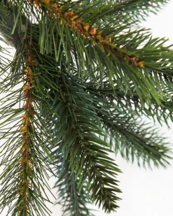 Balsam Hill California Baby Redwood Trees Hot