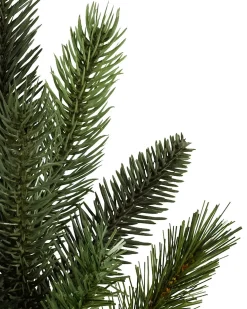 Balsam Hill California Baby Redwood Trees Hot