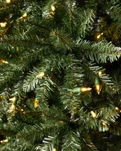 Balsam Hill California Fir Trees Best