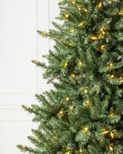 Balsam Hill California Fir Trees Best
