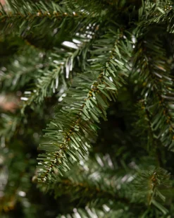 Balsam Hill California Fir Trees Best