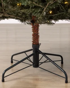 Balsam Hill California Fir Trees Best