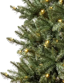Balsam Hill California Fir Trees Best