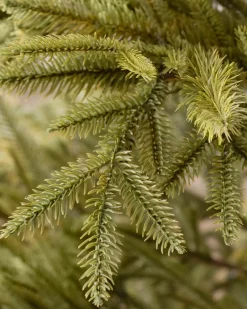 Balsam Hill Calistoga Ornament® Trees Clearance