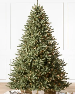Balsam Hill Classic Blue Spruce Trees Outlet