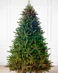 Balsam Hill Classic Blue Spruce Trees Outlet