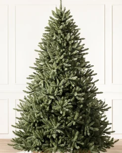 Balsam Hill Classic Blue Spruce Trees Outlet