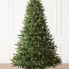 Balsam Hill Classic Evergreen Spruce Trees New