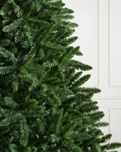 Balsam Hill Classic Evergreen Spruce Trees New