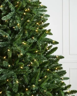 Balsam Hill Classic Evergreen Spruce Trees New