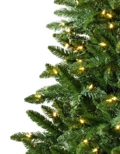 Balsam Hill Classic Evergreen Spruce Trees New