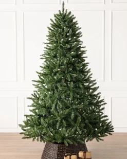 Balsam Hill Classic Evergreen Spruce Trees New