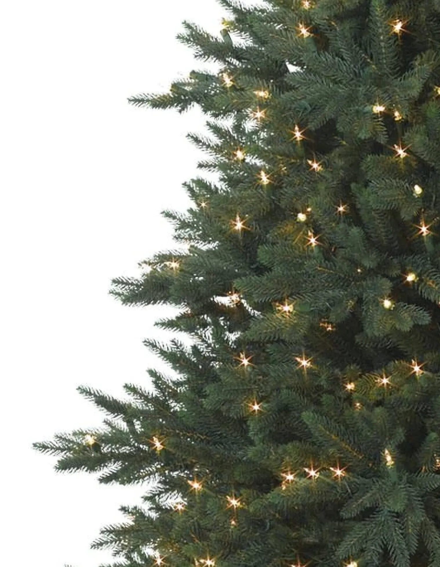 Balsam Hill Colorado Mountain Spruce® Trees Hot