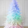 Balsam Hill Denali White® Trees New