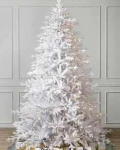 Balsam Hill Denali White® Trees New