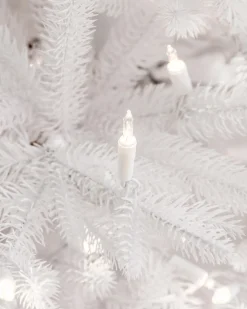 Balsam Hill Denali White® Trees New
