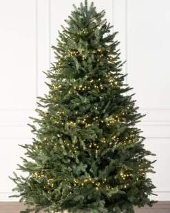 Balsam Hill Easy Wrap LED Light Strings