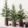 Balsam Hill Evergreen Saplings Tabletop Trees Hot