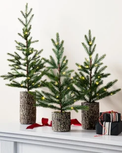 Balsam Hill Evergreen Saplings Tabletop Trees Hot