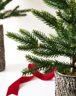Balsam Hill Evergreen Saplings Tabletop Trees Hot