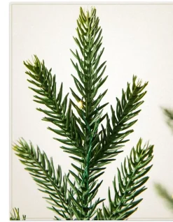 Balsam Hill Evergreen Saplings Tabletop Trees Hot