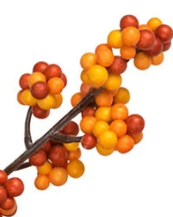 Balsam Hill Fall Berry Foliage