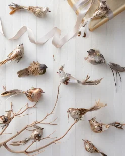 Balsam Hill Feathered Friends Christmas Ornament Collection Outlet