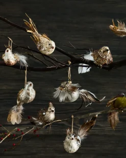 Balsam Hill Feathered Friends Christmas Ornament Collection Outlet