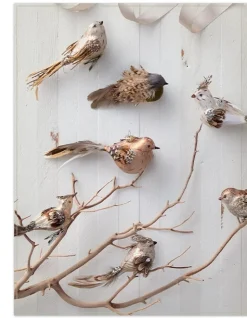Balsam Hill Feathered Friends Christmas Ornament Collection Outlet