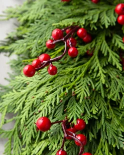 Balsam Hill Fresh Cedar Grove Foliage Discount