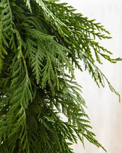 Balsam Hill Fresh Wispy Cedar Foliage Outlet