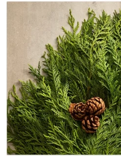 Balsam Hill Fresh Wispy Cedar Foliage Outlet