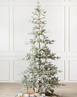 Balsam Hill Frosted Alpine Balsam Fir Trees Best