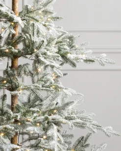 Balsam Hill Frosted Alpine Balsam Fir Trees Best