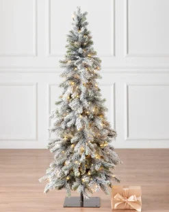 Balsam Hill Frosted Forest Pine LED Trees Discount