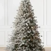 Balsam Hill Frosted Sugar Pine Trees New