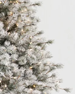 Balsam Hill Frosted Sugar Pine Trees New