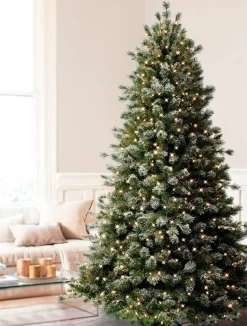 Balsam Hill Frosted Sugar Pine Trees New