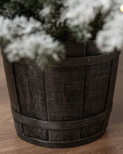 Balsam Hill Frosted Yukon Spruce Artificial Potted Christmas Trees Online