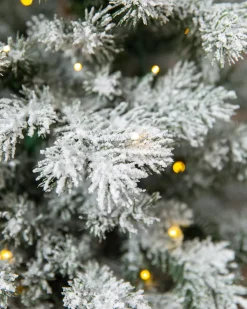 Balsam Hill Frosted Yukon Spruce Artificial Potted Christmas Trees Online