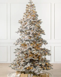 Balsam Hill Frosted Yukon Spruce Trees Clearance