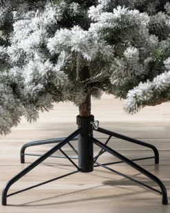 Balsam Hill Frosted Yukon Spruce Trees Clearance