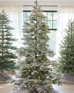 Balsam Hill Frosted Yukon Spruce Trees Clearance