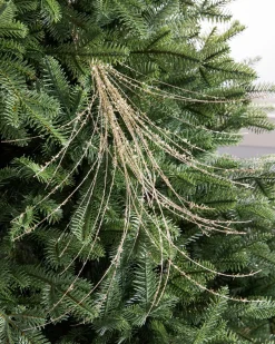 Balsam Hill Glitter Horsetail Christmas Tree Picks Clearance
