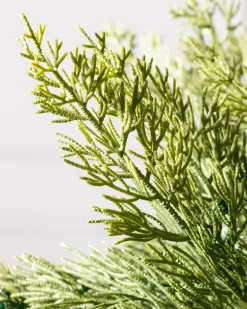 Balsam Hill Grand Canyon Cedar® Trees Clearance