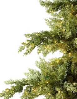 Balsam Hill Grand Canyon Cedar® Trees Clearance